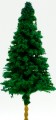 Scale Model Pine Tree 1:300